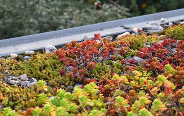 the cost of Wistanswick green roof installation
