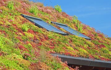 Wistanswick living roof systems